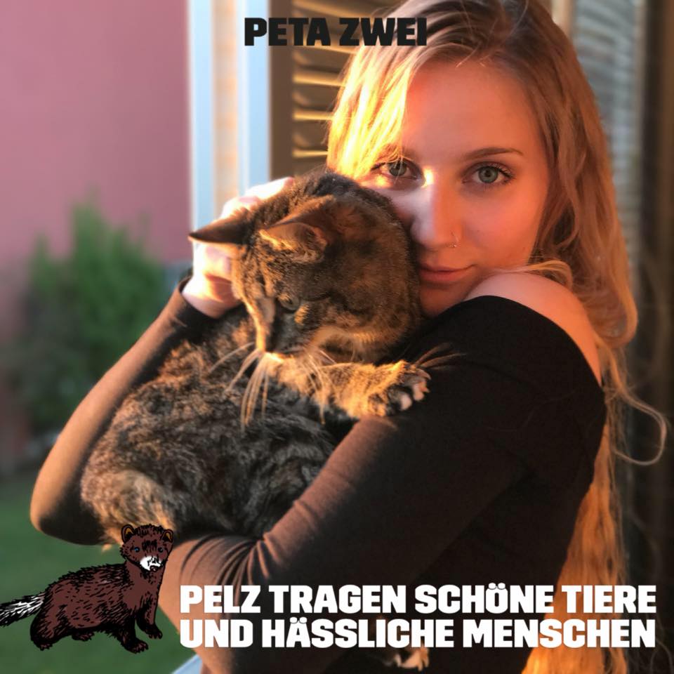 Reiki for animals