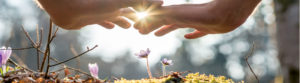 ONLINE Workshop Polarity mit Reiki oder Massage 4